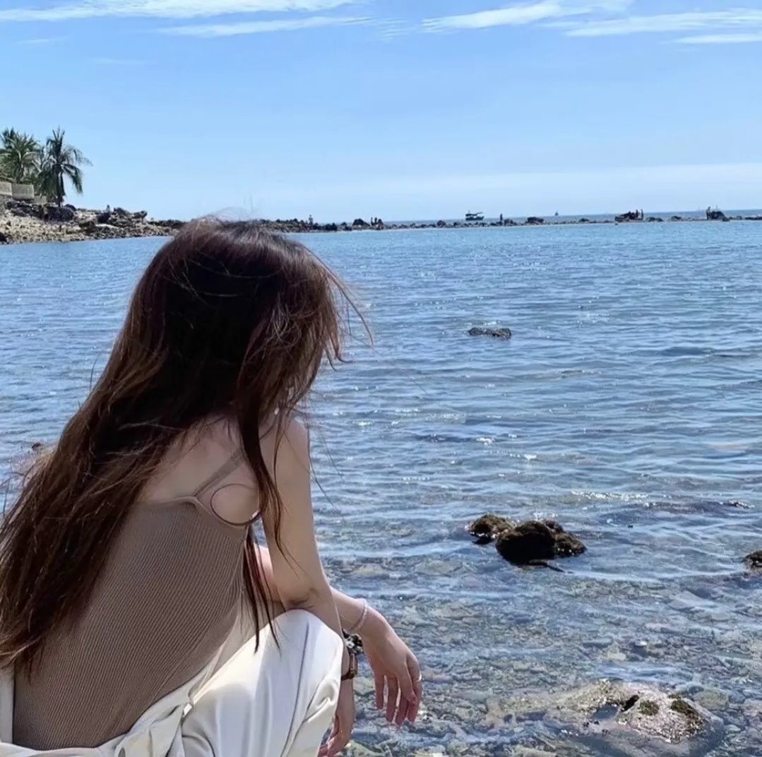 鲨与鲸